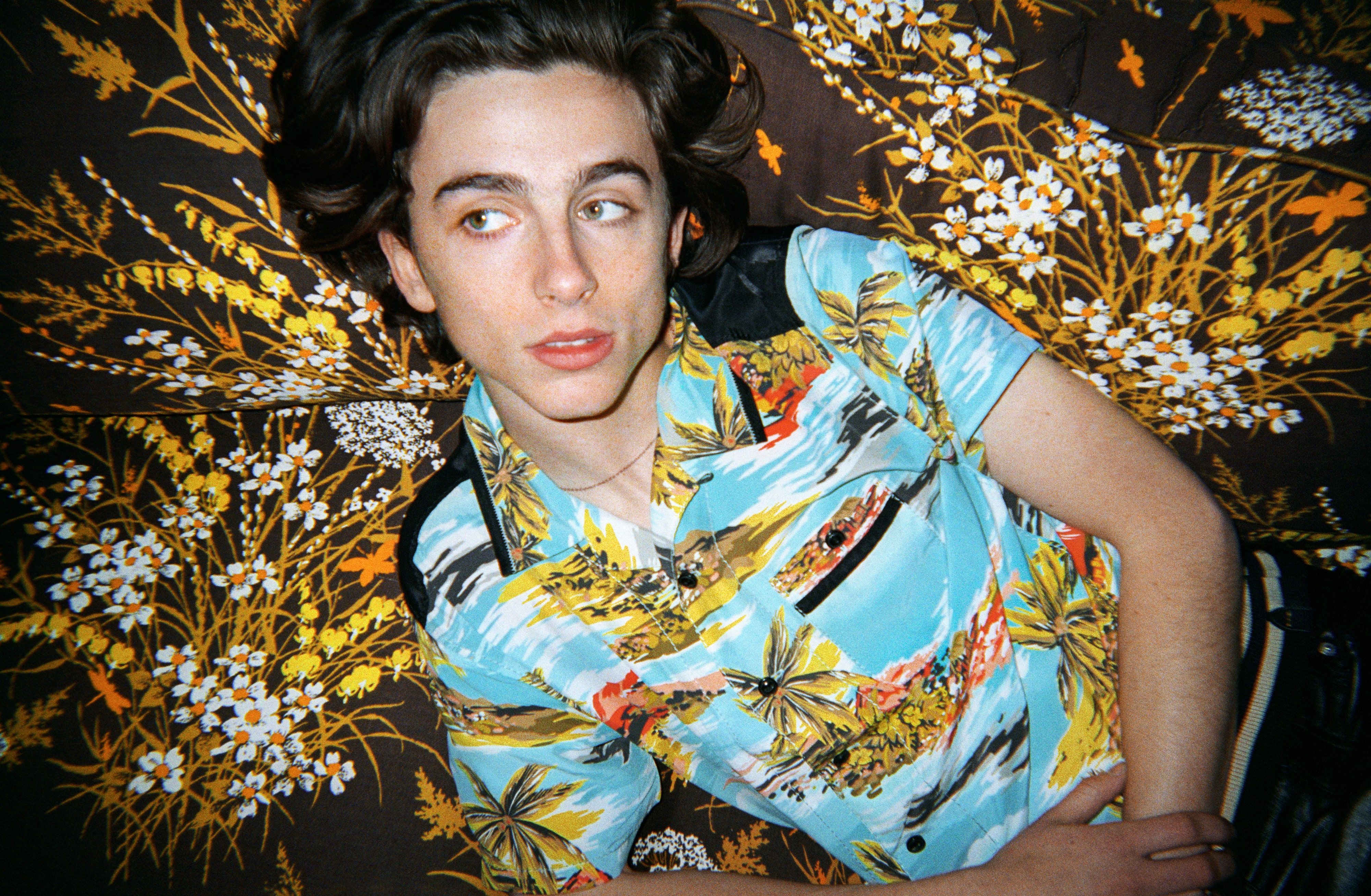 Timothée Chalamet Has Arrived Right on Time