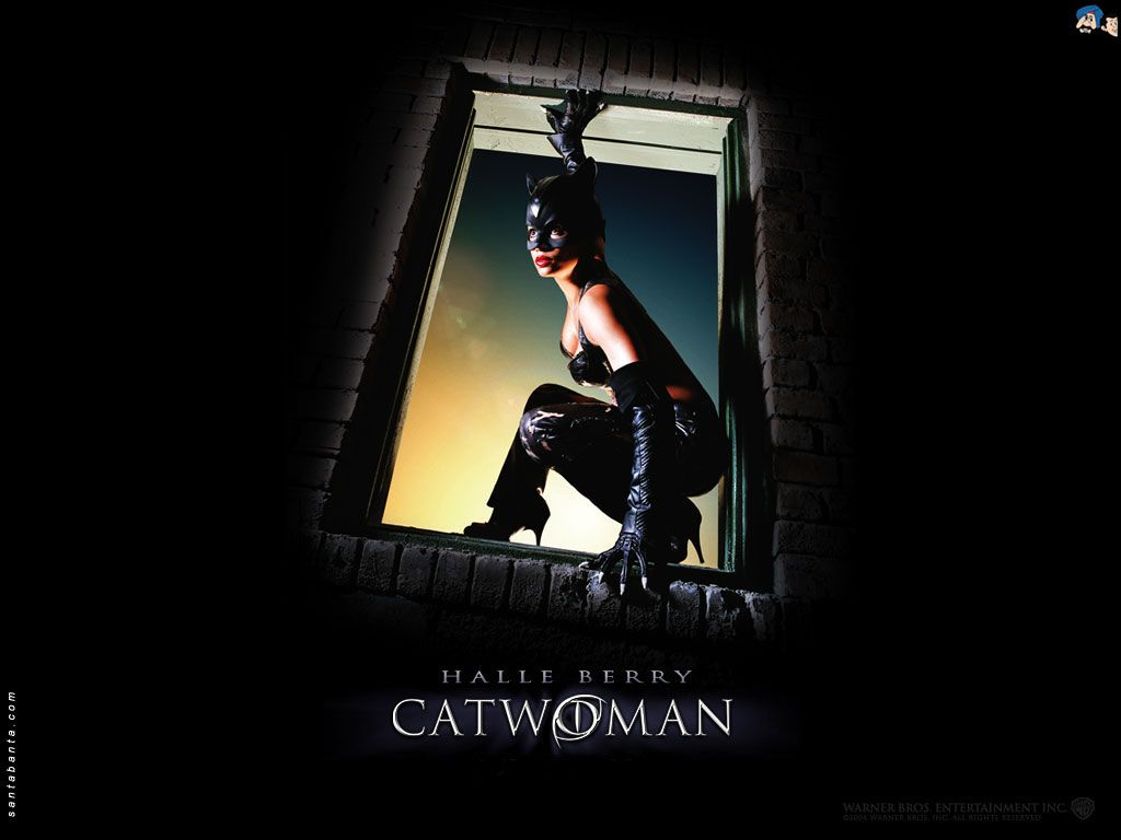 Catwoman Movie Wallpapers Wallpaper Cave