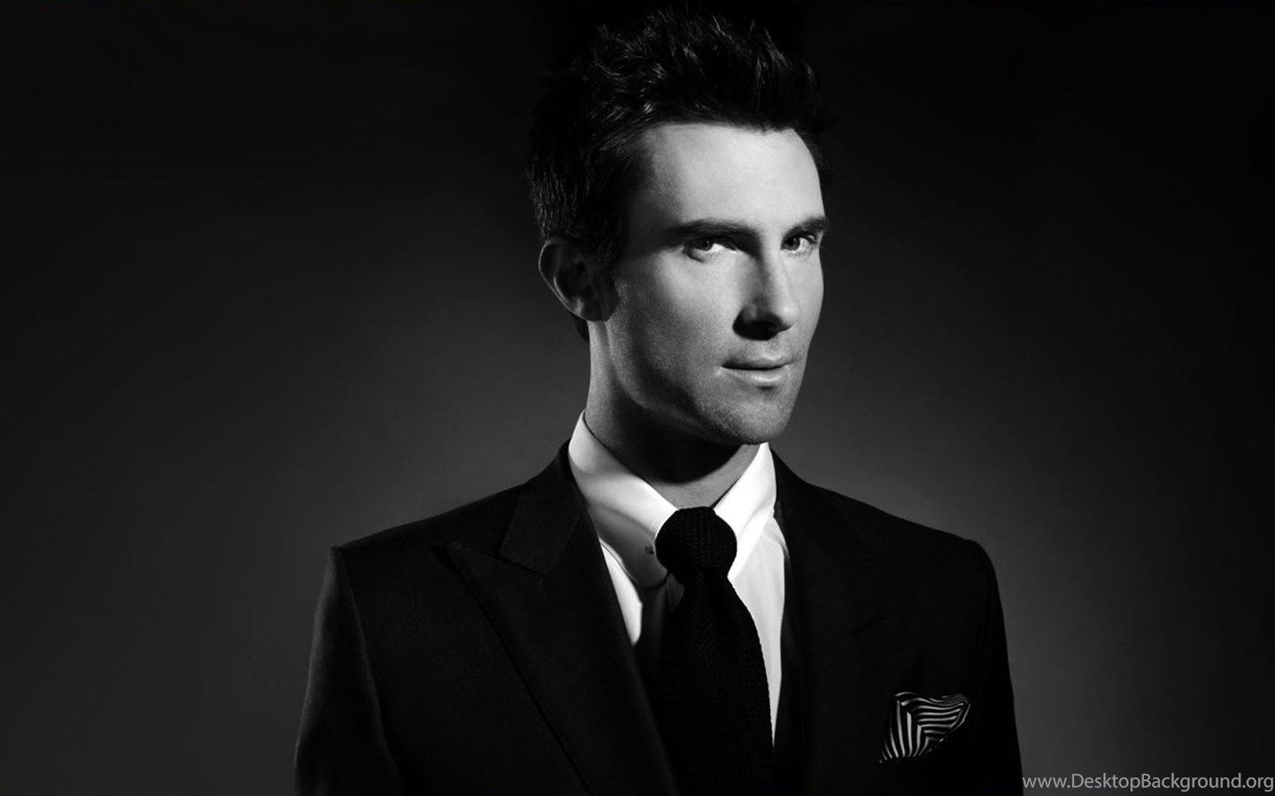 Maroon 5 Adam Levine Musician HD Wallpaper Desktop Background