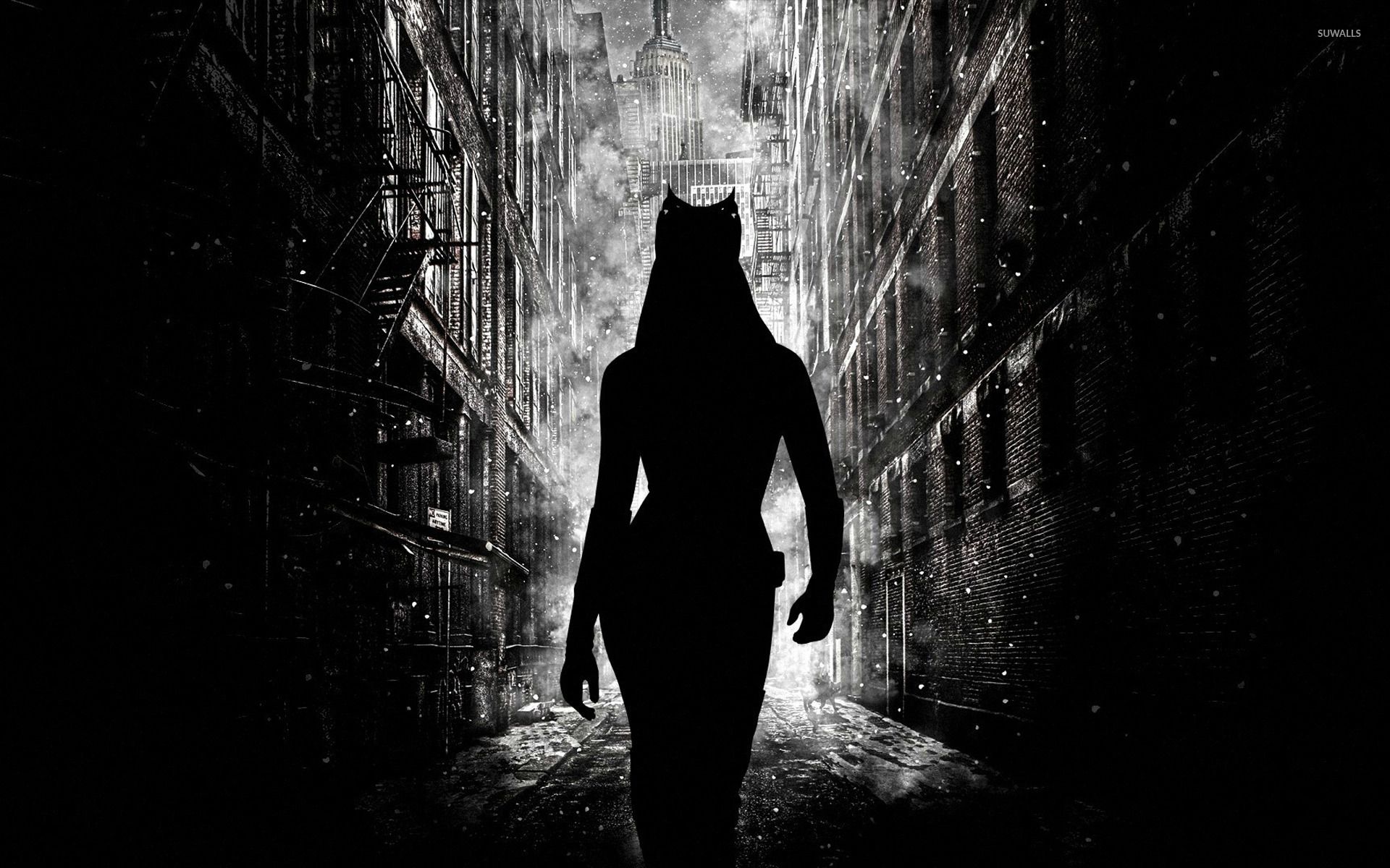 Catwoman wallpaper wallpaper