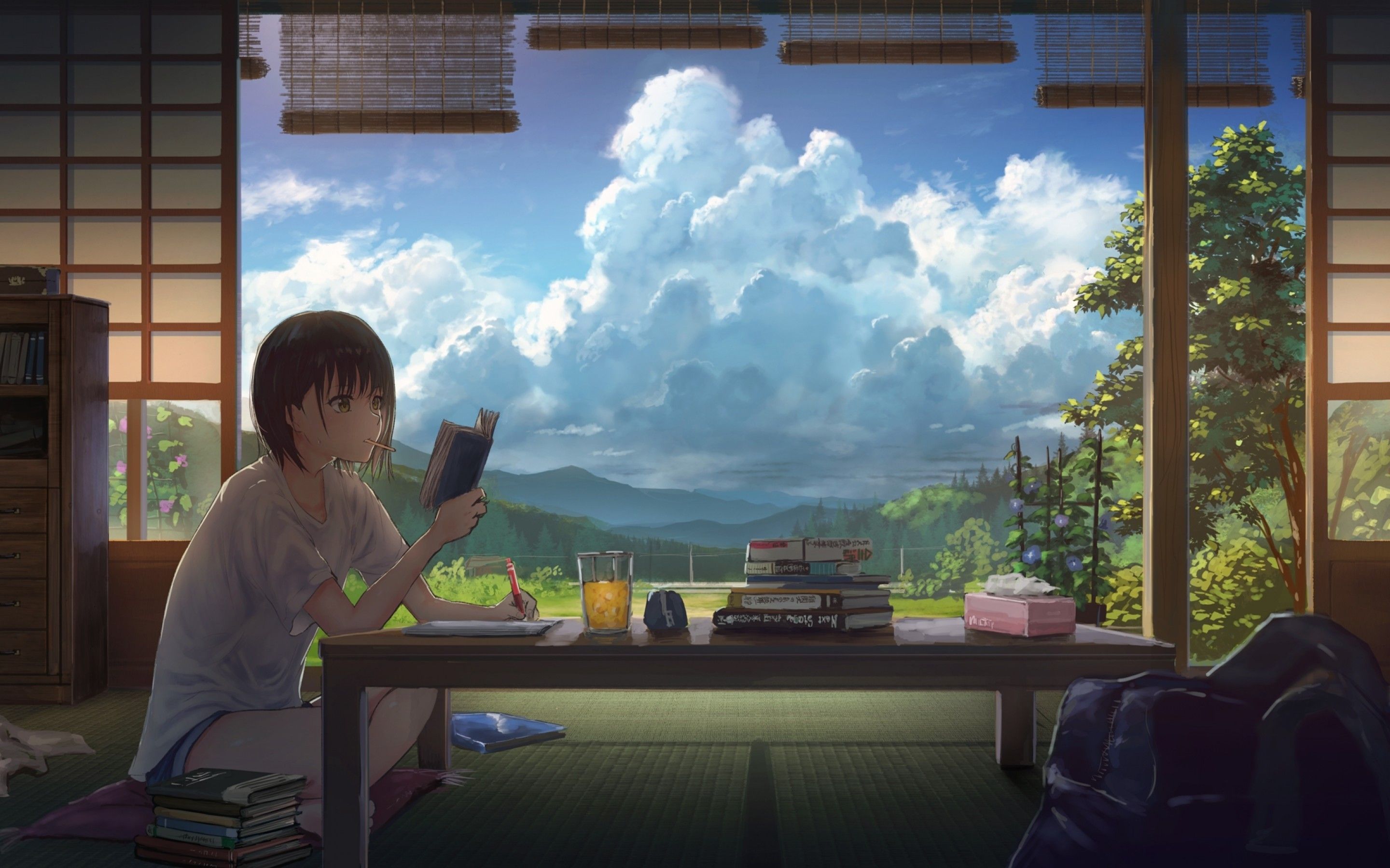 Download 2880x1800 Anime Girl, Reading, Summer, Clouds, Scenic