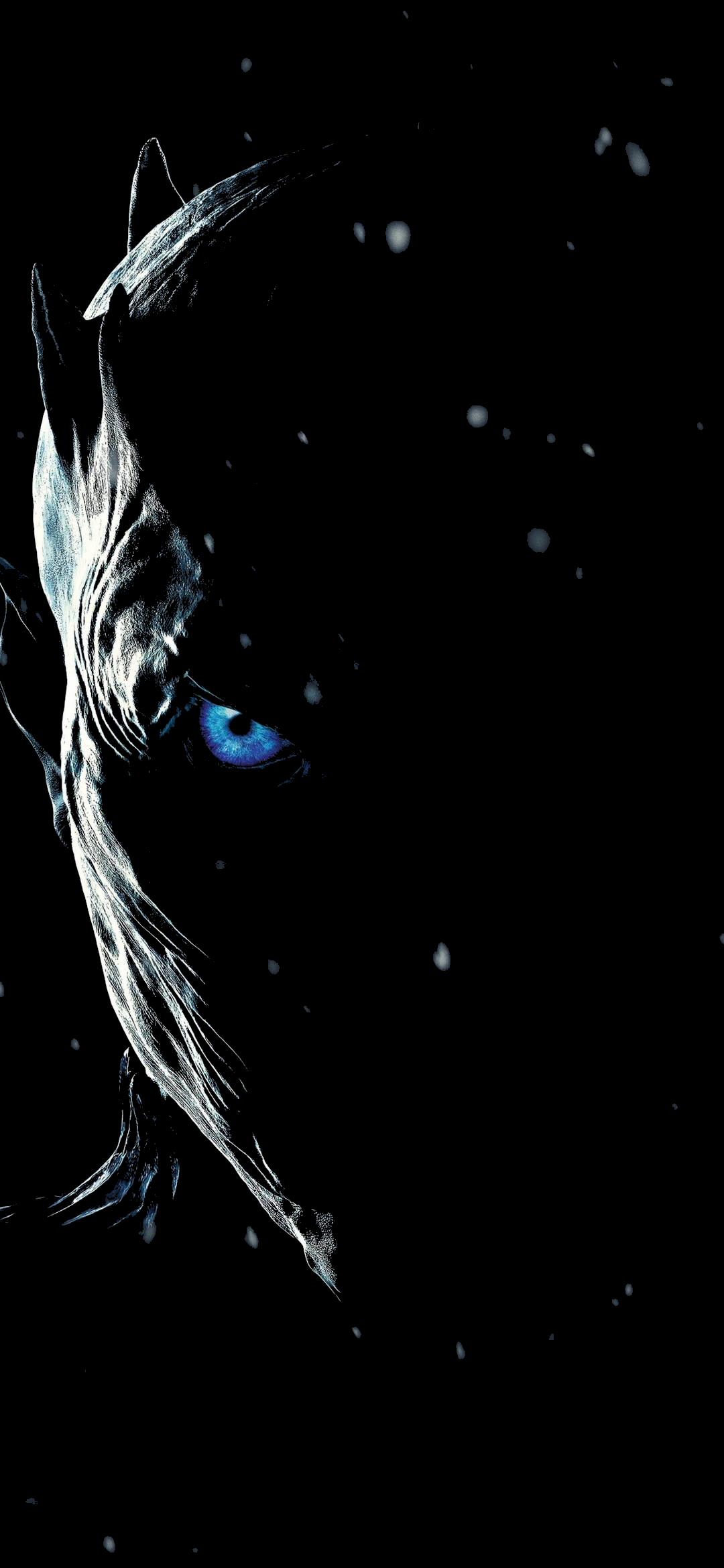 Night King [1080x2340]