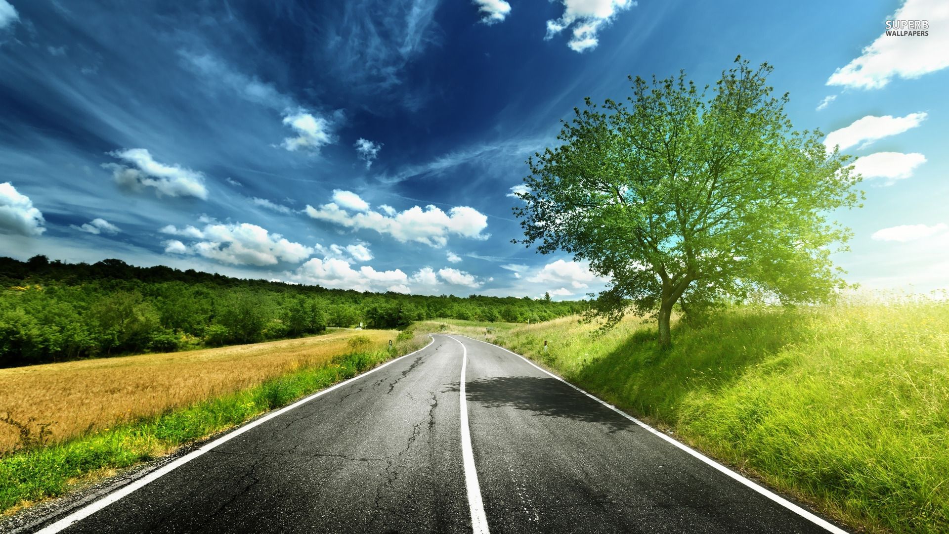 Summer Road desktop PC and Mac wallpaper