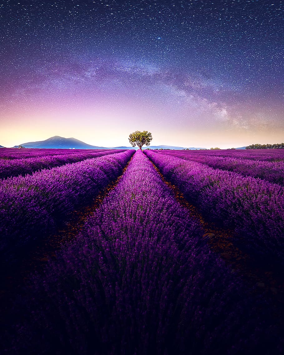 night, landscape, iphone wallpaper, field, sky, purple, beauty