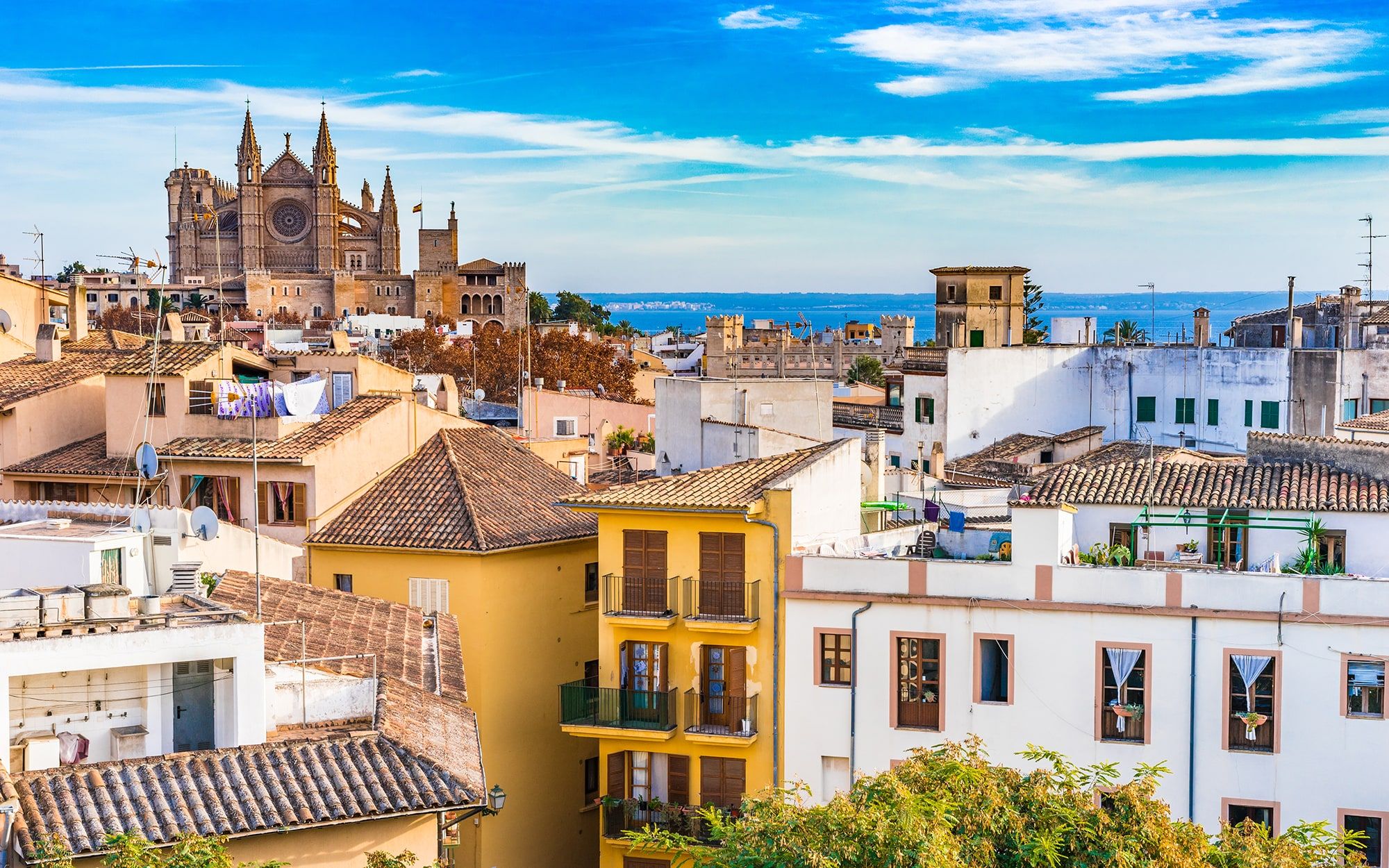 An insider guide to Palma