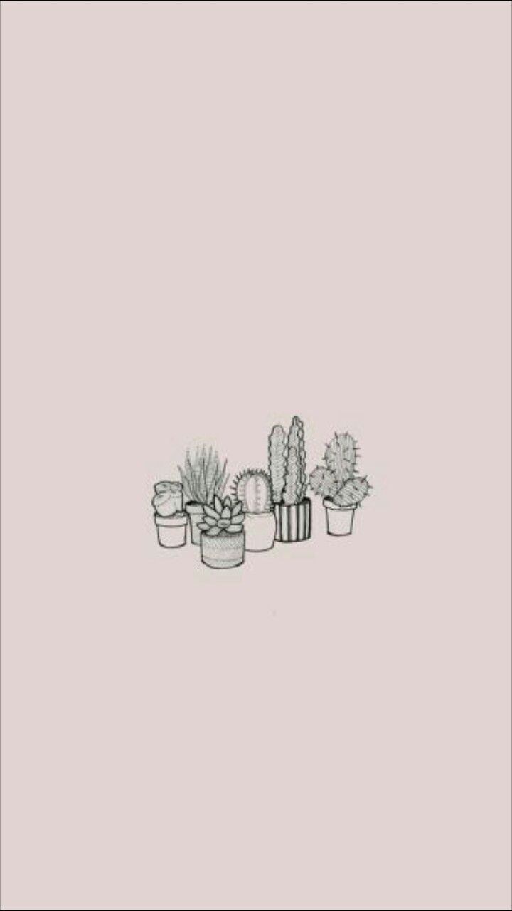 Cactus fond rose pale. Cute simple wallpaper, Thought wallpaper
