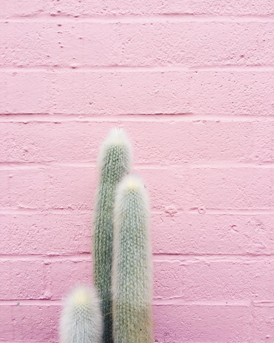 Is Millennial pink still the color of the moment? I hope so