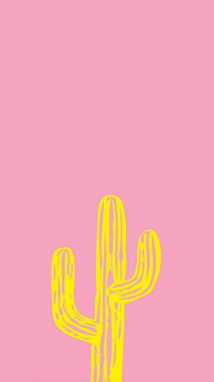 cactus, background, wallpaper and wallpa