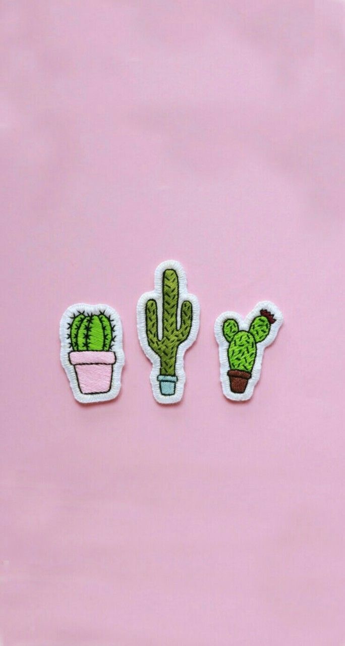 Image about pink in cactus