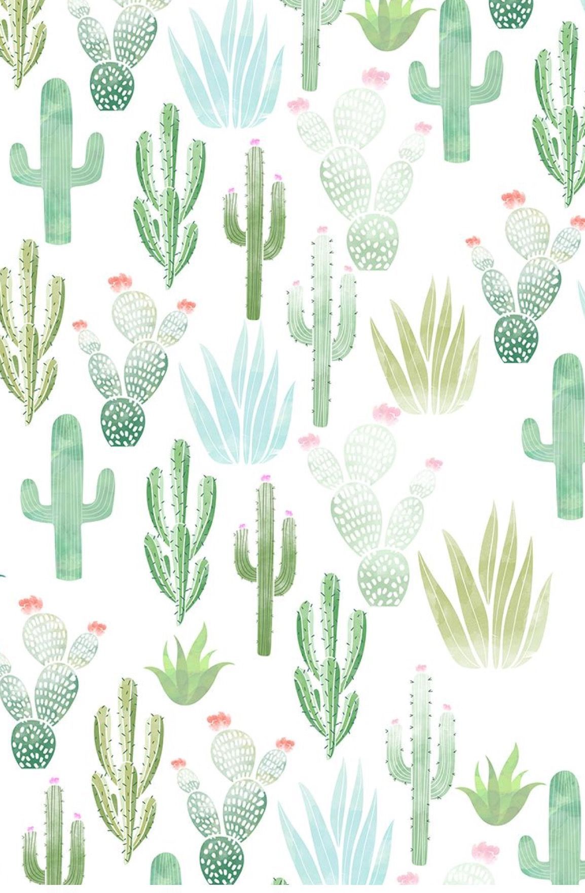 Cute Cactus Wallpaper iPhone Wallpaper