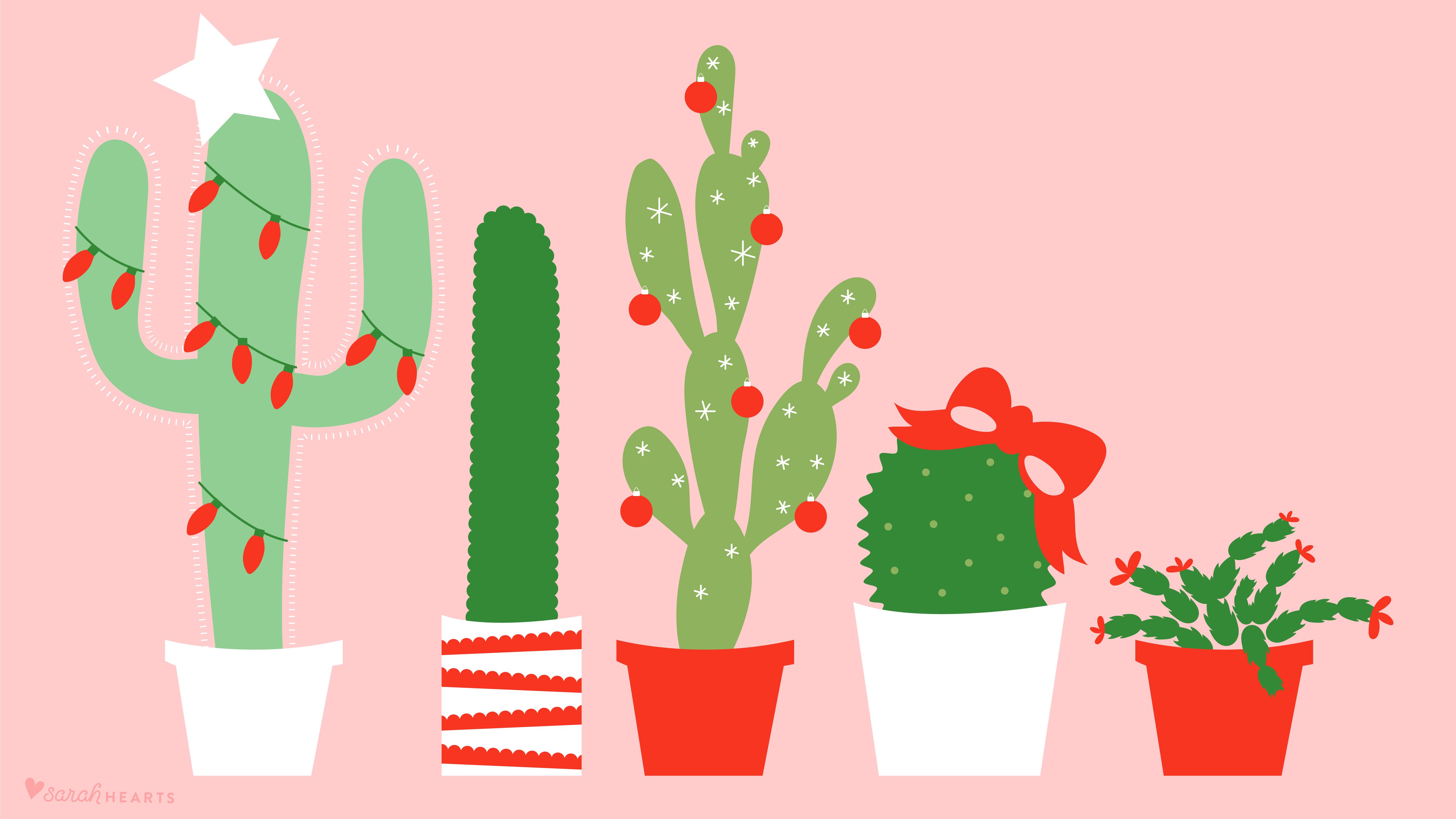 Christmas Cactus Wallpaper Free Christmas Cactus