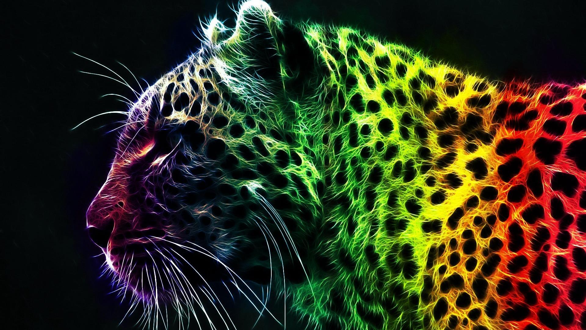 Colorful Cat HD desktop wallpaper, Widescreen, High Definition