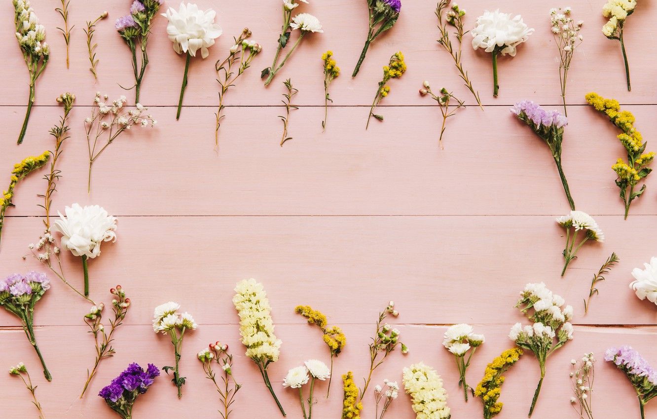 Wallpaper flowers, background, spring, pink, flowers, background