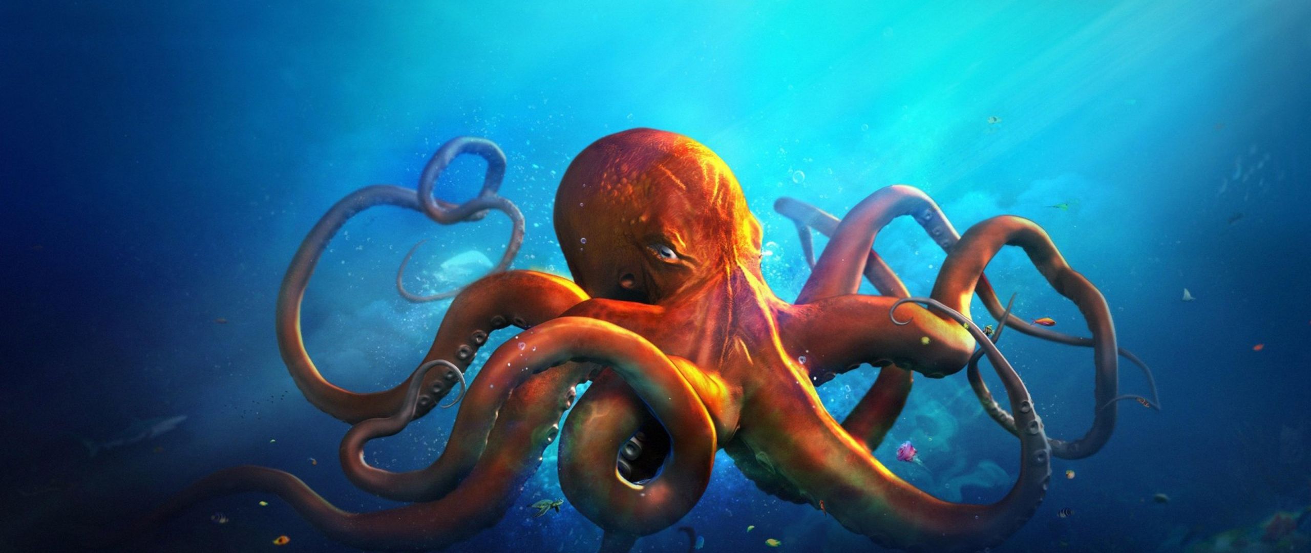 Orange Octopus 3D Desktop HD Wallpaper