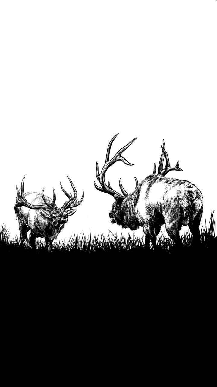 iPhone Bull Elk Wallpapers - Wallpaper Cave