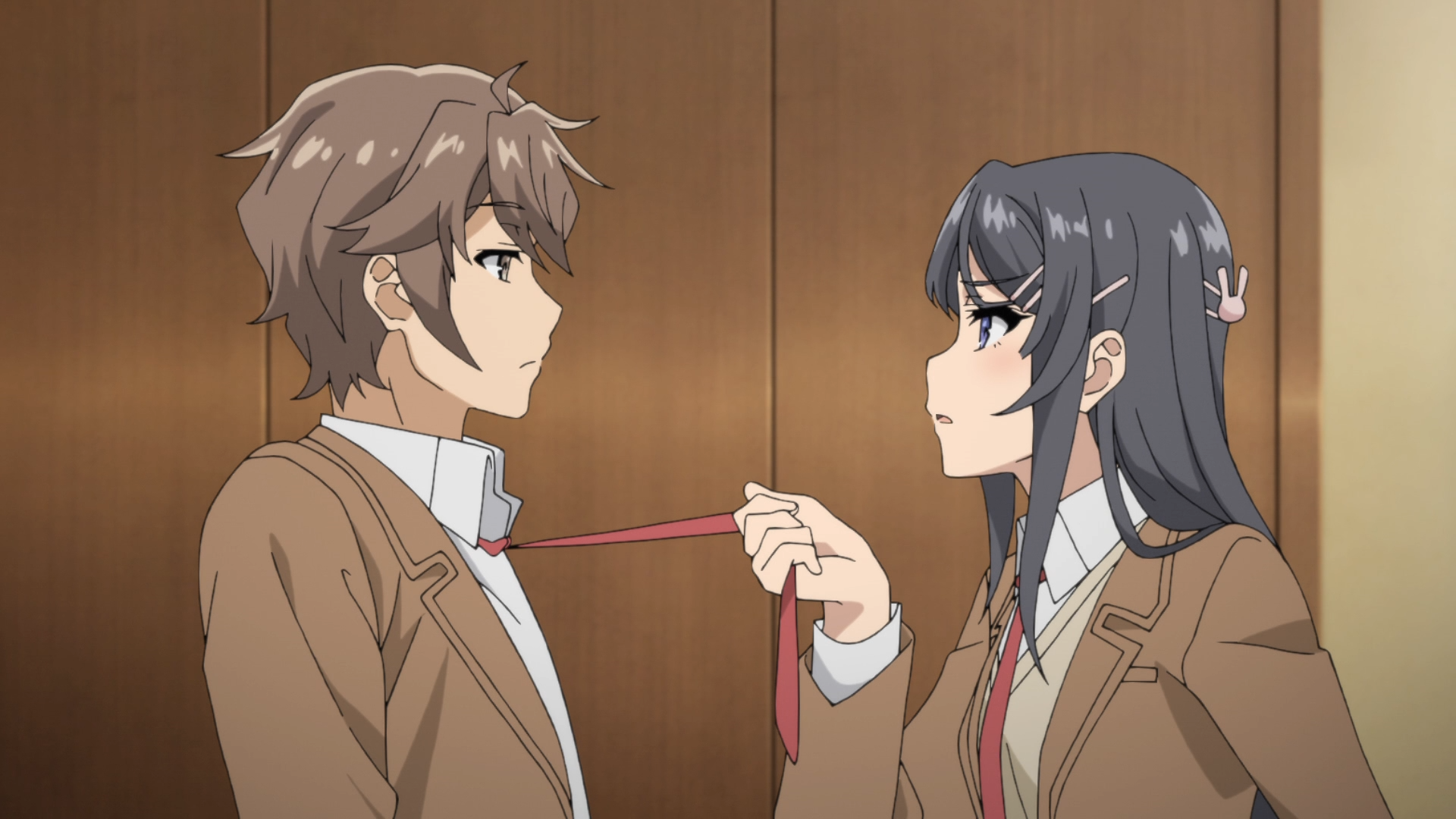 Rascal Does Not Dream of Bunny Girl Senpai Ep. 