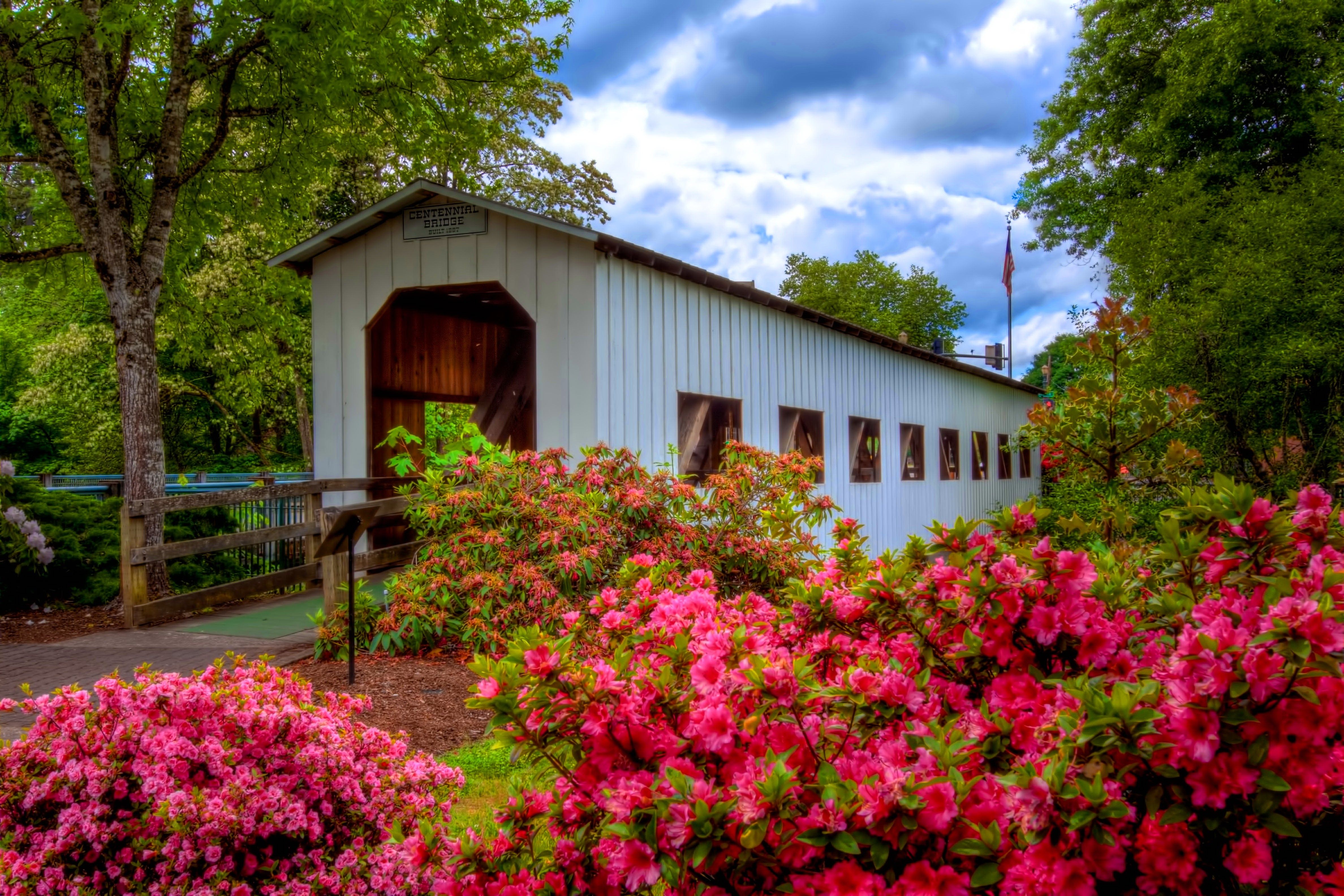 Covered Bridge HD Wallpaper and Background Image