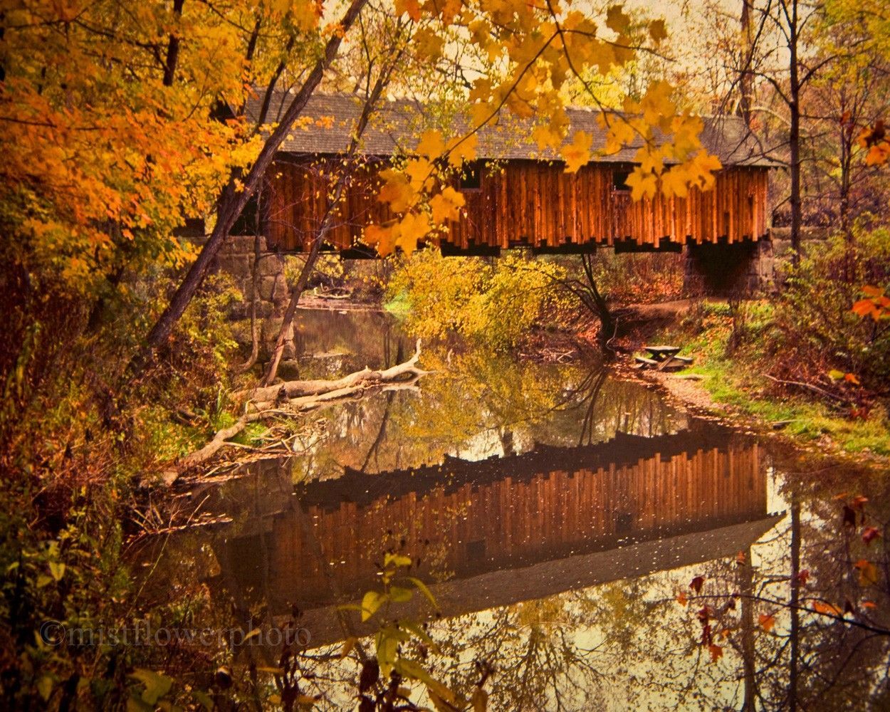 Covered Bridge In Autumn Wallpaper