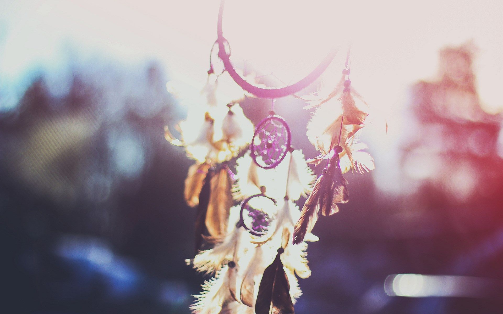 Dreamcatcher Desktop Background