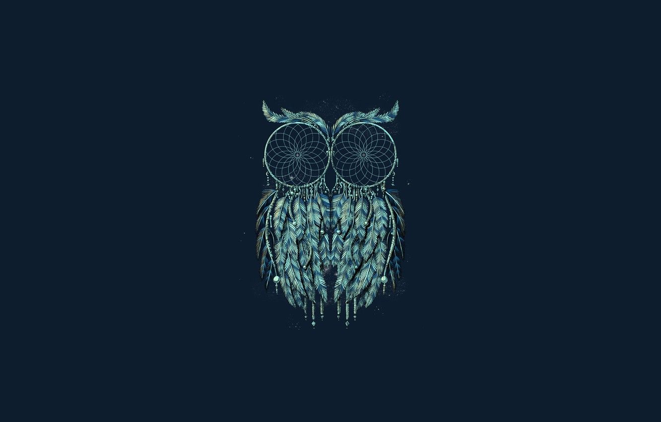 Wallpaper owl, minimalism, blue background, owl, Dreamcatcher, dreamcatcher image for desktop, section минимализм
