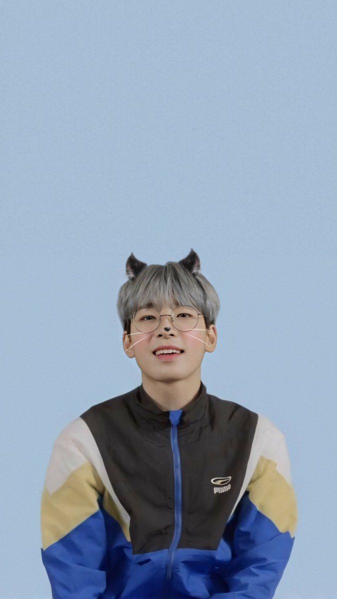 on Twitter: cute kitten wonwoo lockscreen / homescreen wallpaper