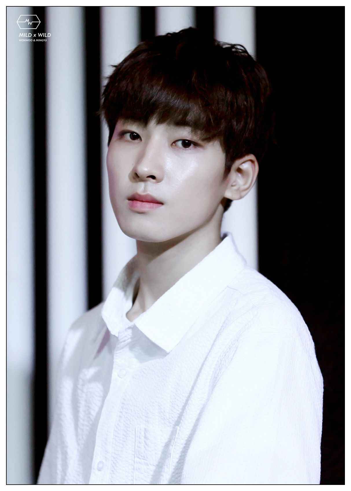 Seventeen WONWOO photo star Coated poster Painting Home Room Decor
