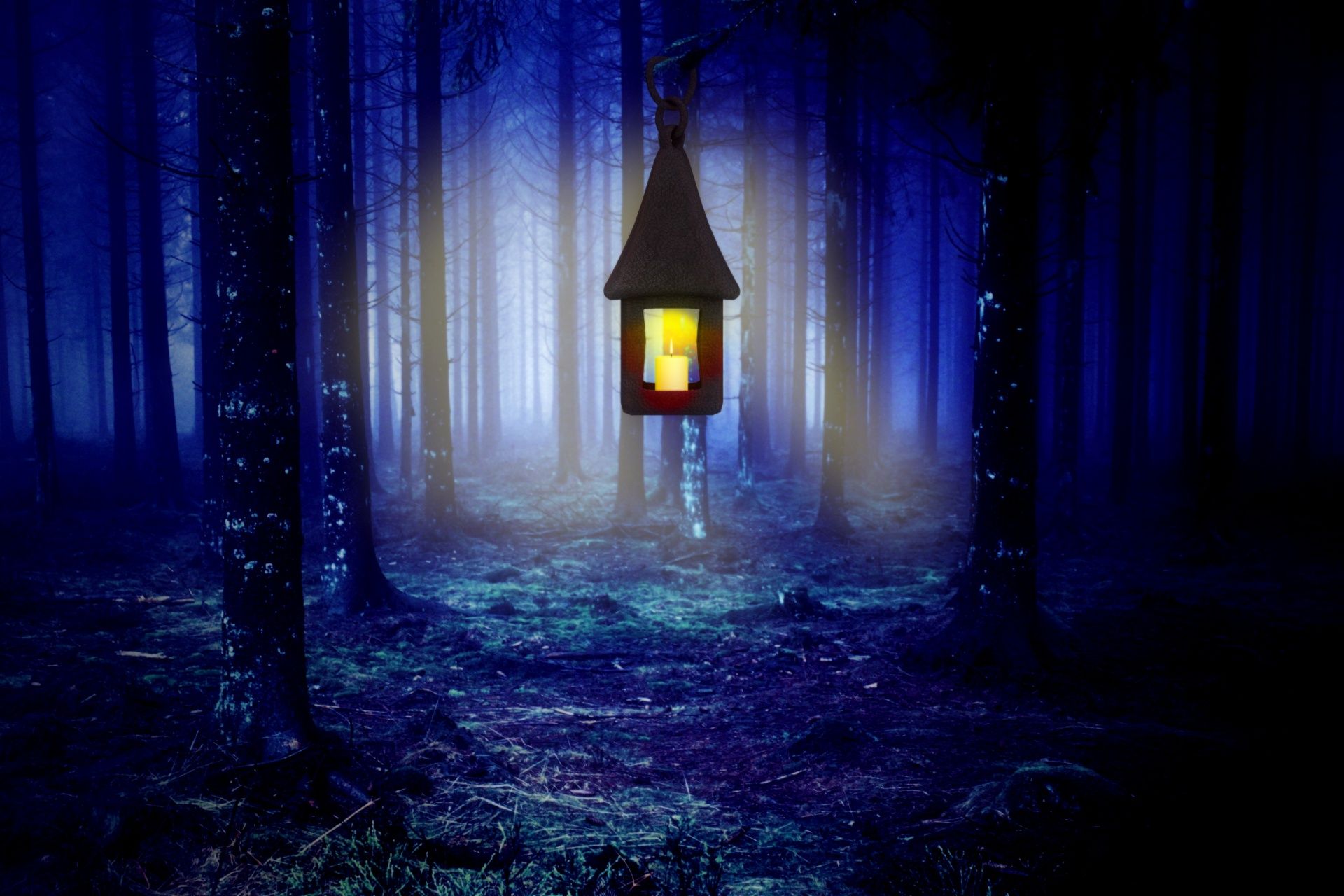 Download free photo of Night, forest, lamp, light, sparkle