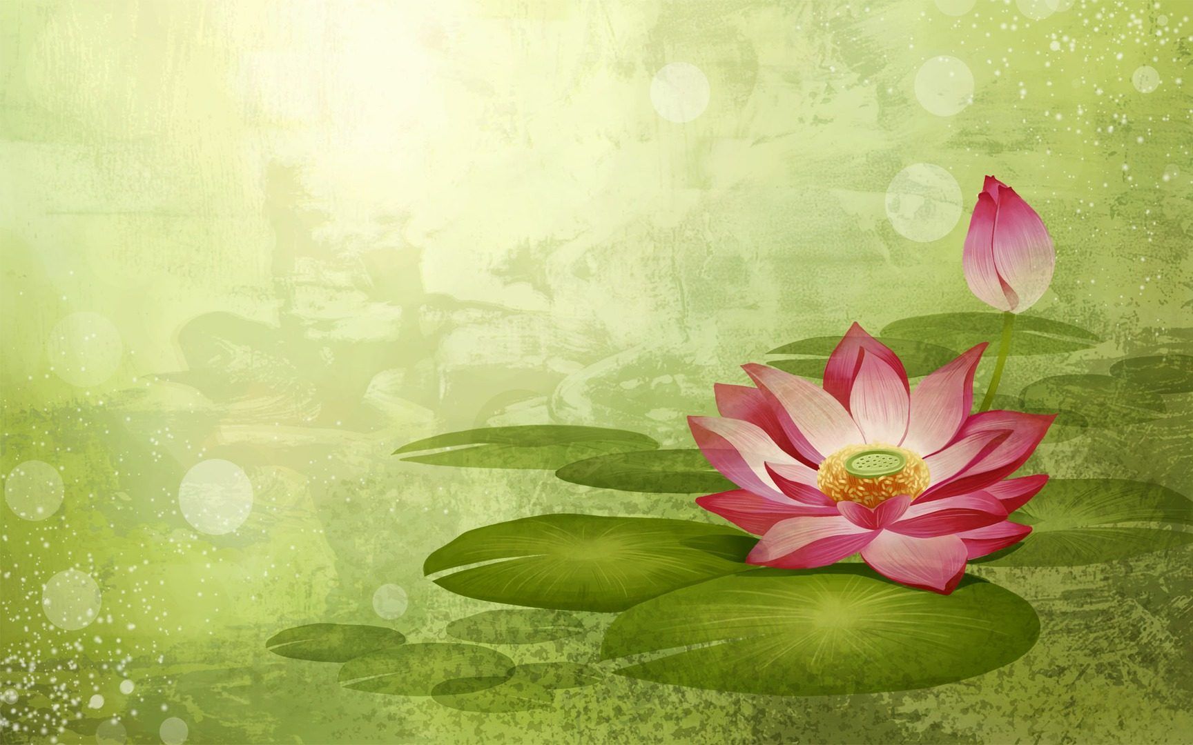 Free Lotus Background, Widescreen Lotus Wallpaper