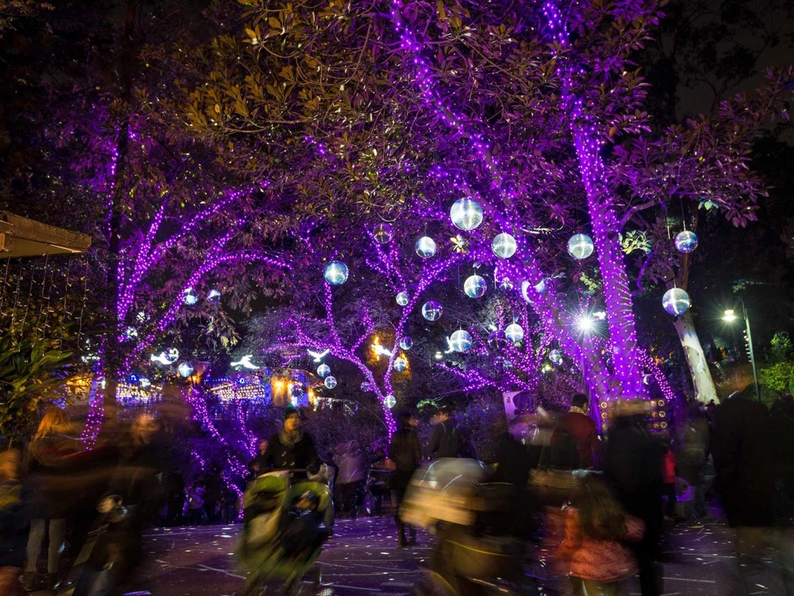 The Best Holiday Lights in Los Angeles. Discover Los Angeles