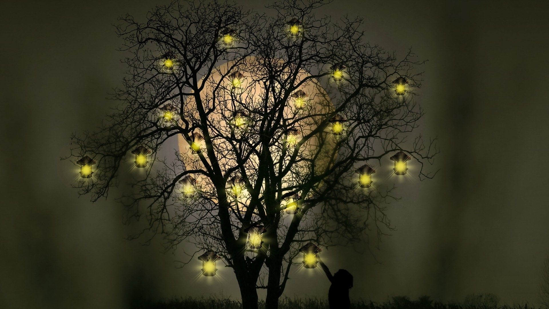 children, Fantasy art, Nature, Trees, Night, Moon, Lantern, Lights