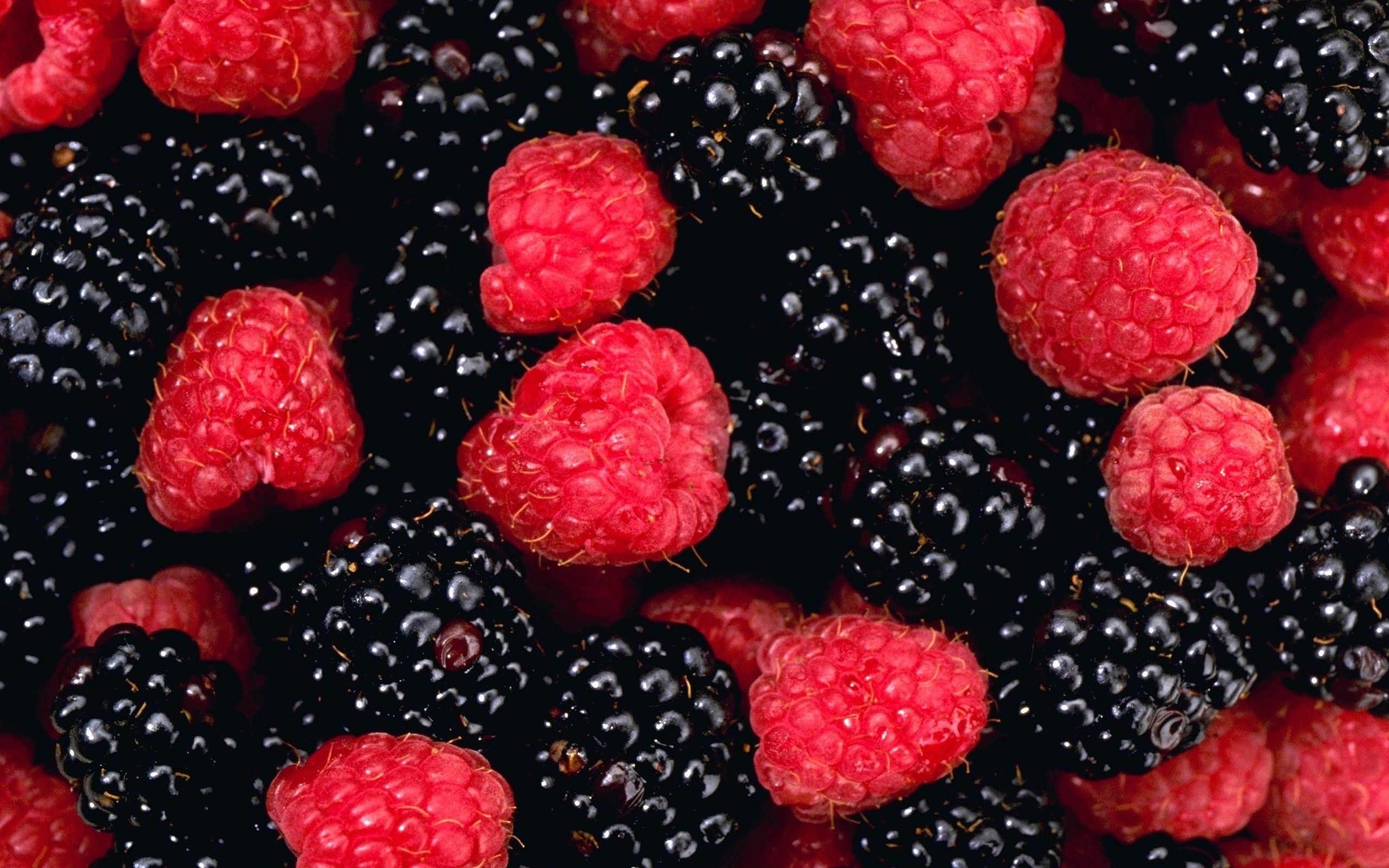 Free download Blackberry Fruit Wallpaper HD Photo [2560x1600]