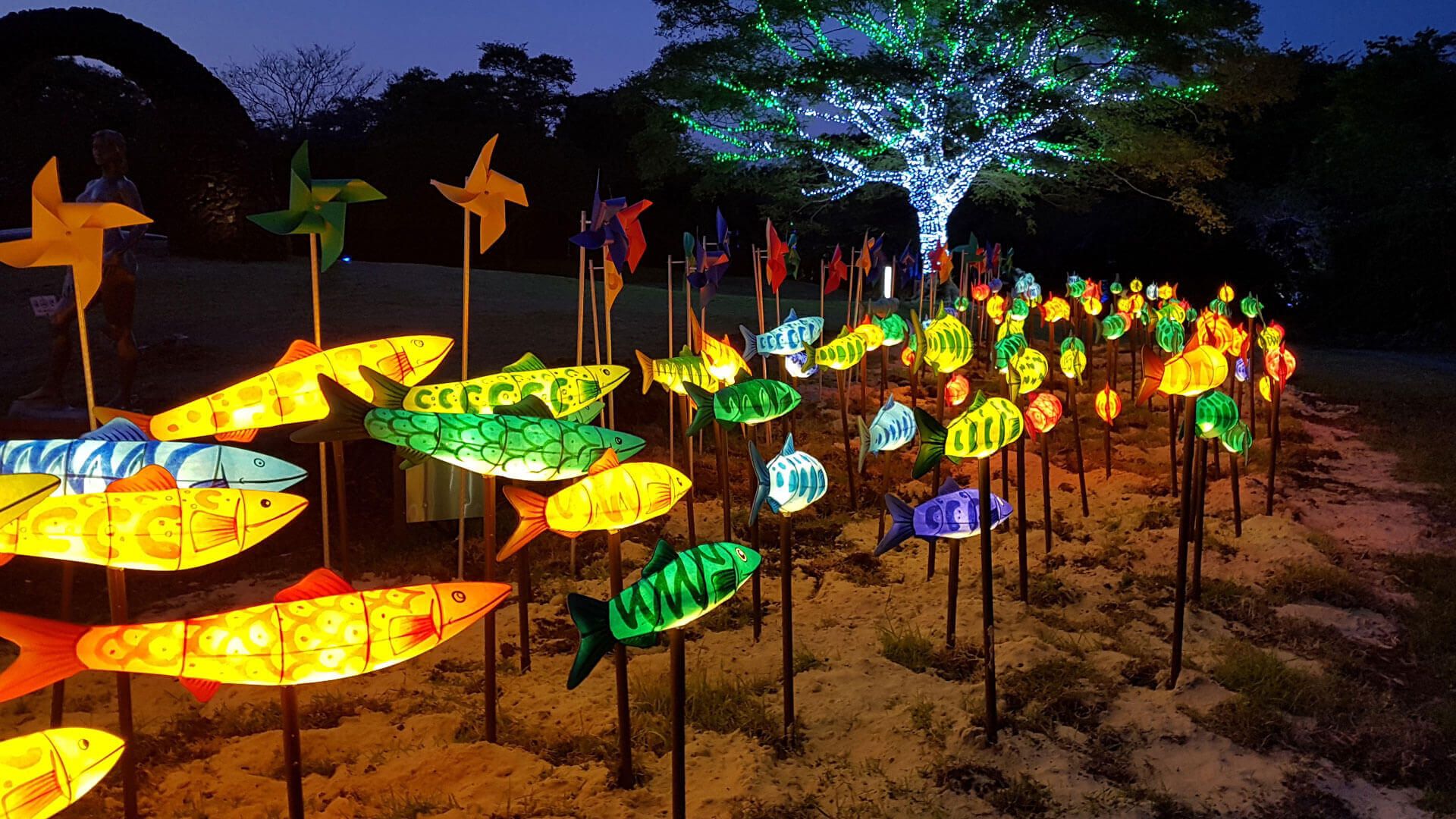 Summer nights at Jeju Art Park in South Korea