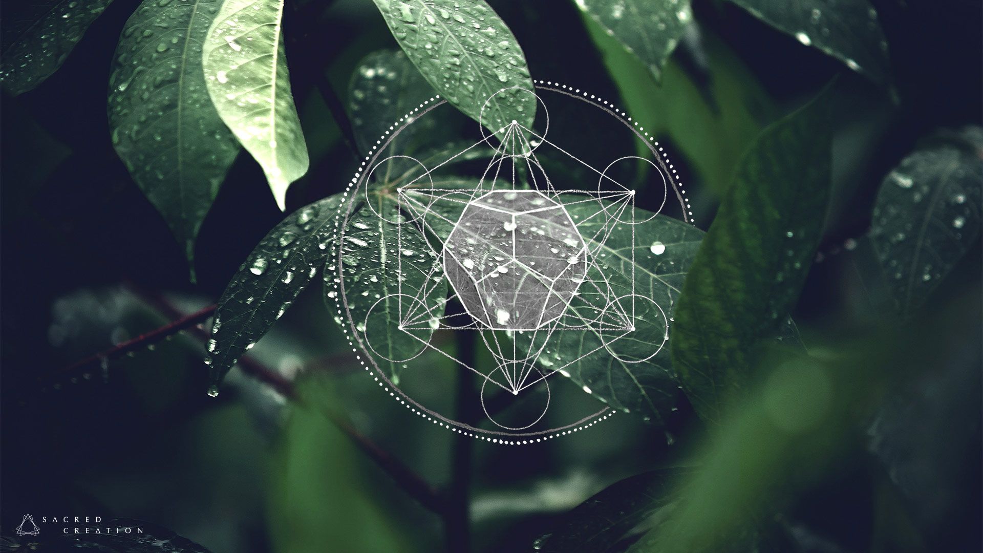 Metatron Cube Dodecahedron Wallpaper