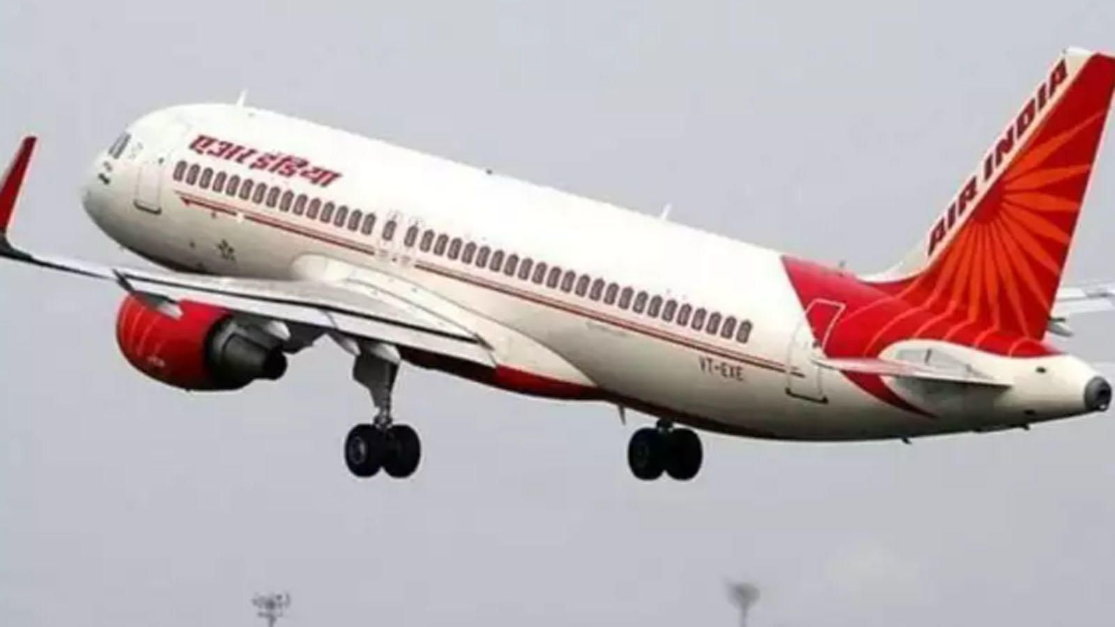 Air India Domestic Flights News: Air India to operate special