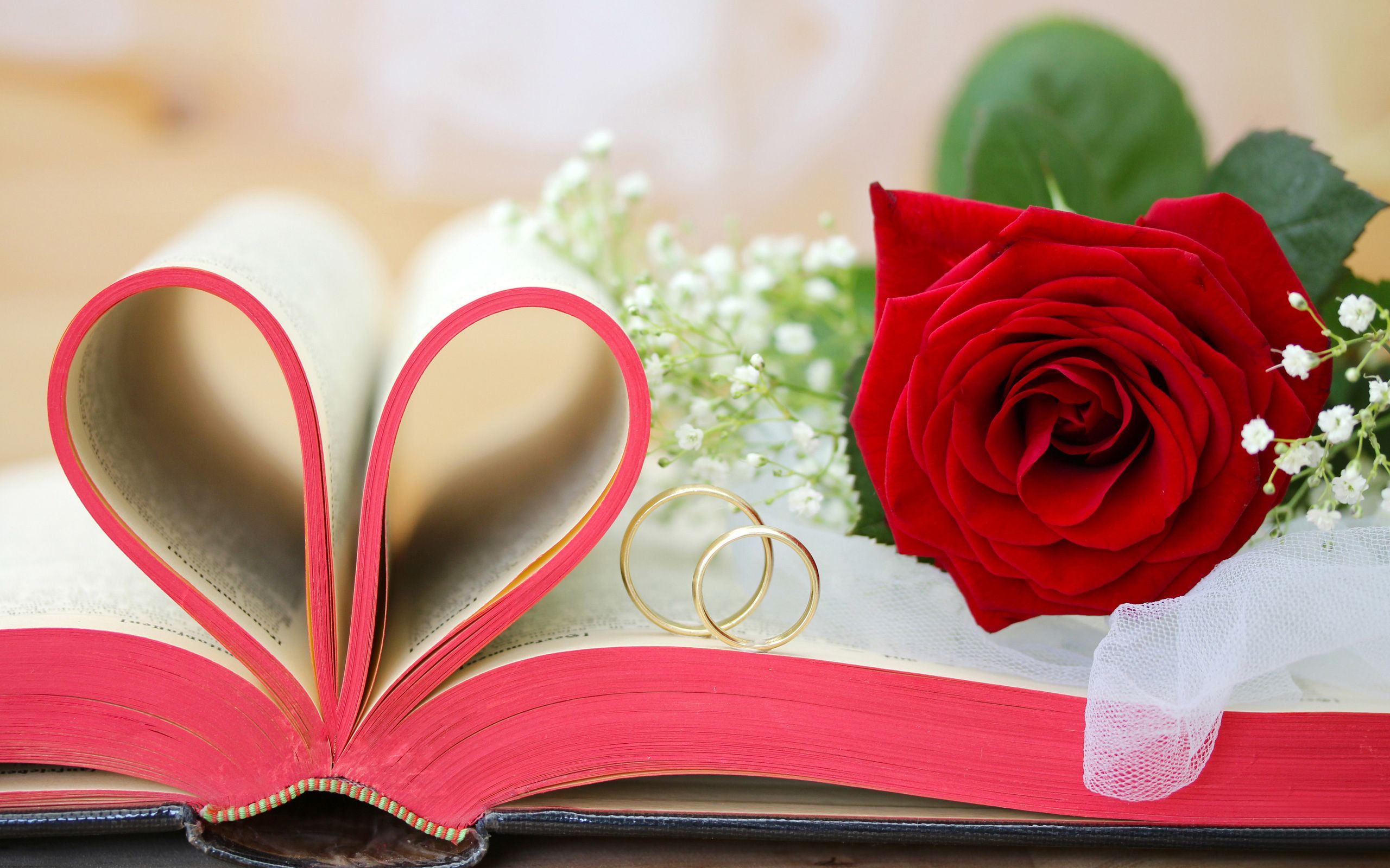 Wedding wishes rose rings HD wallpaper Happy Wedding, Wishes