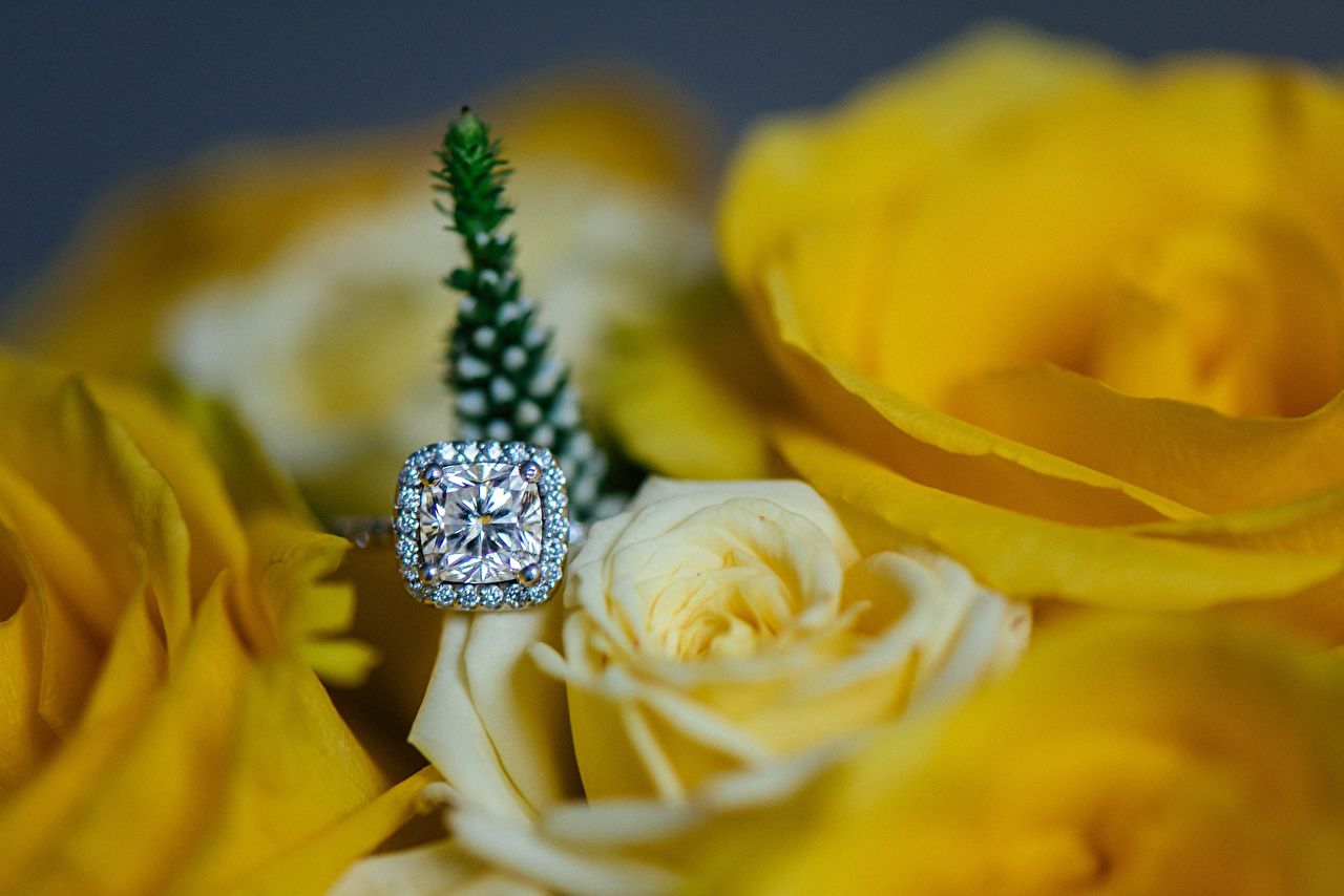 Desktop Wallpaper Brilliant rose Yellow flower jewelry ring Closeup