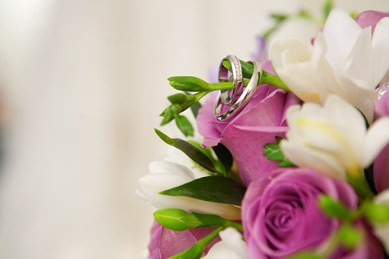 Desktop Wallpaper marriage rose Flowers jewelry ring Closeup