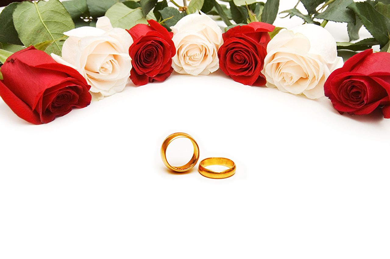 Desktop Wallpaper Roses flower jewelry ring