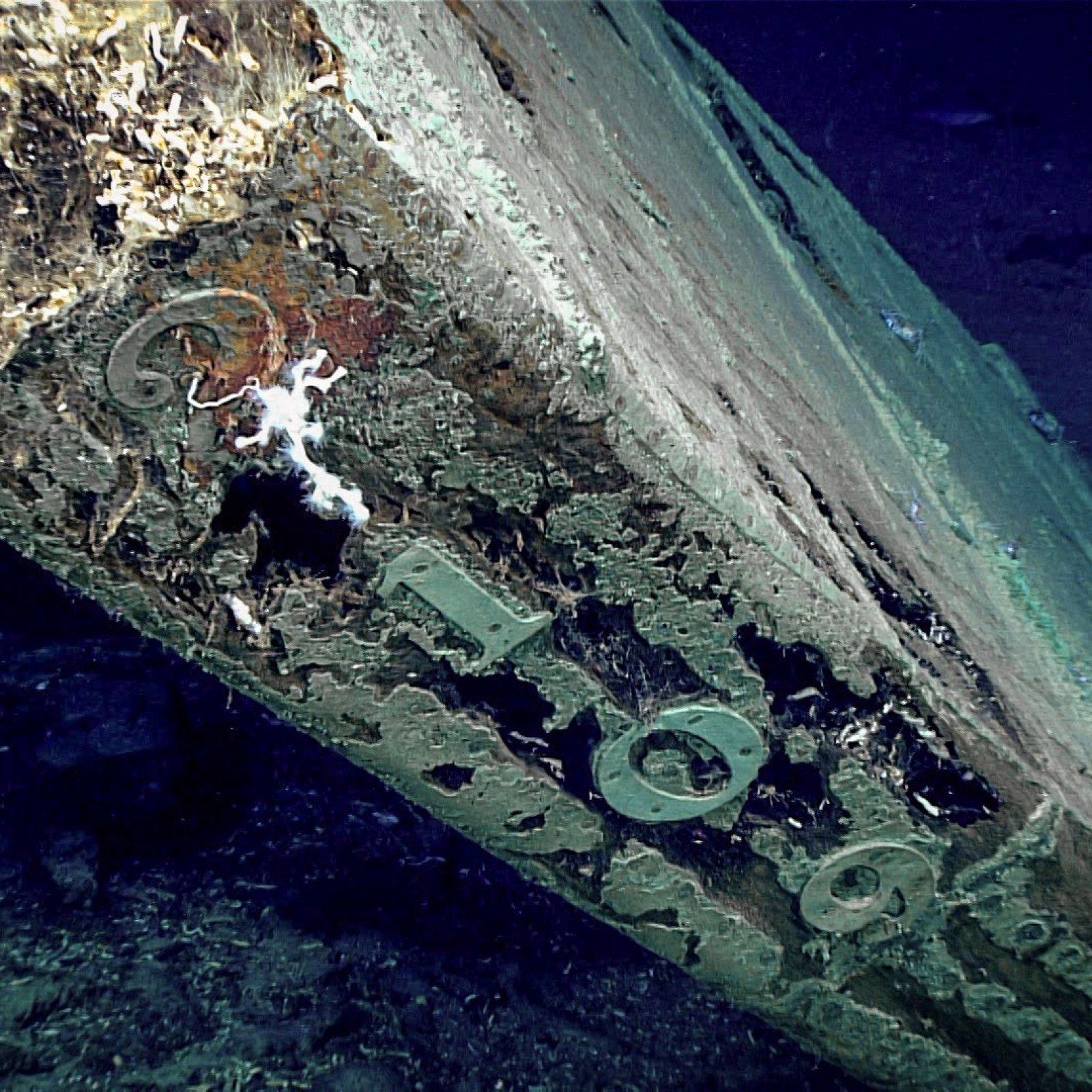 Mystery 200 Year Old Shipwreck Discovered In Gulf Of Mexico