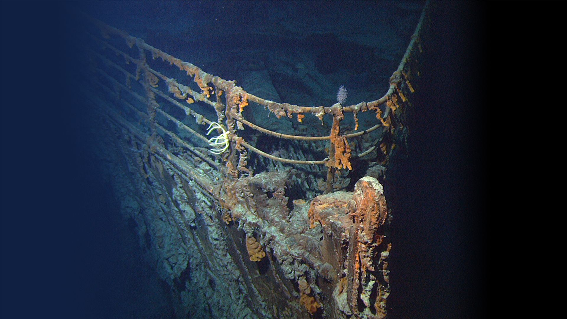 New Footage of the Titanic Has Some Experts Predicting