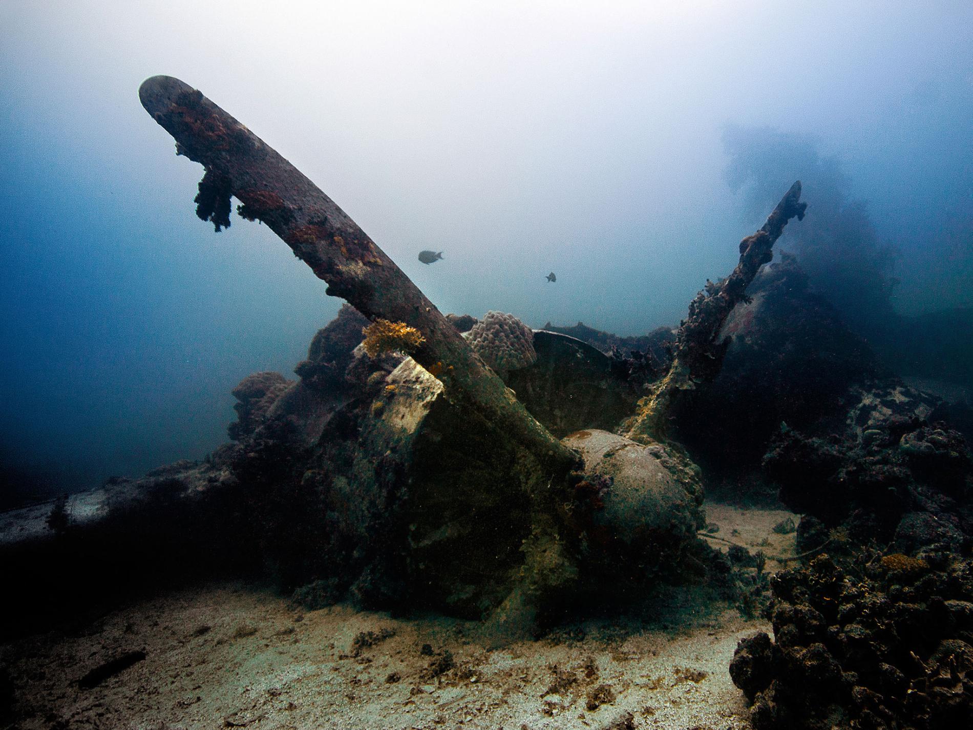 World's Best Dive Sites to See Shipwrecks
