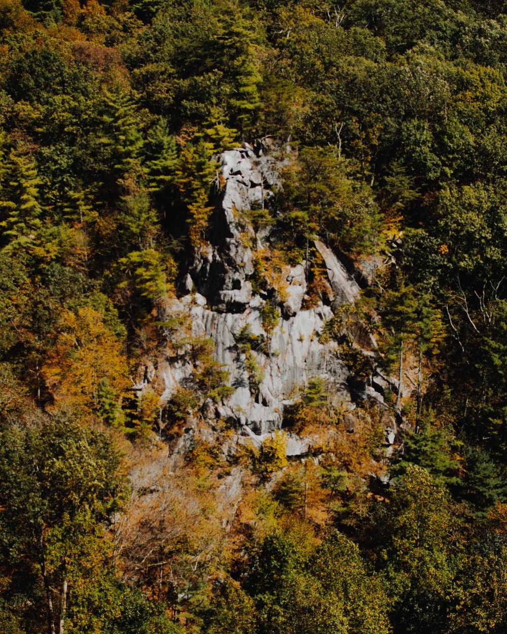 King Queen Picture [HD]. Download Free Image