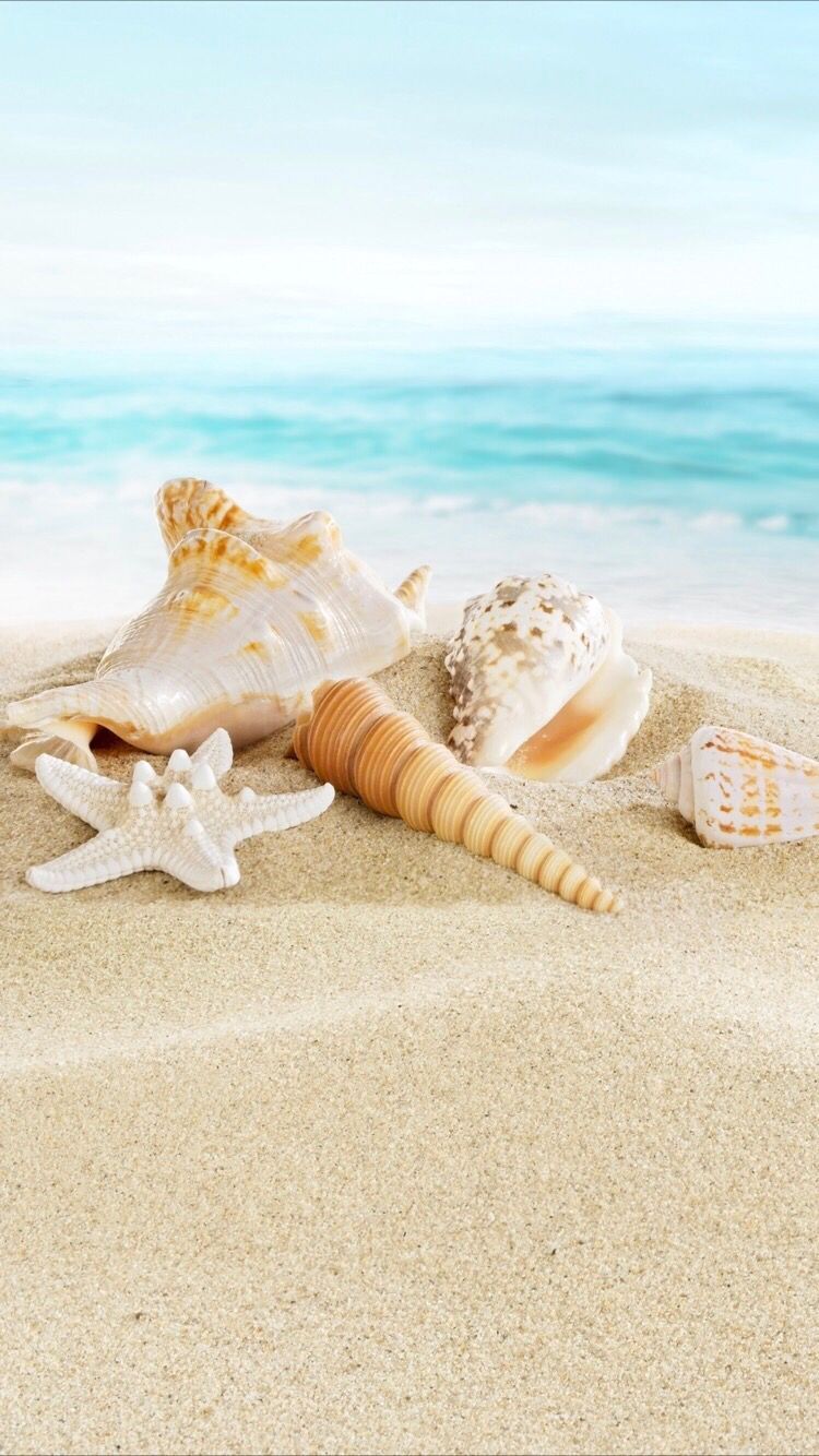 Summer beach wallpaper for your iPhone X from Everpix. Beach