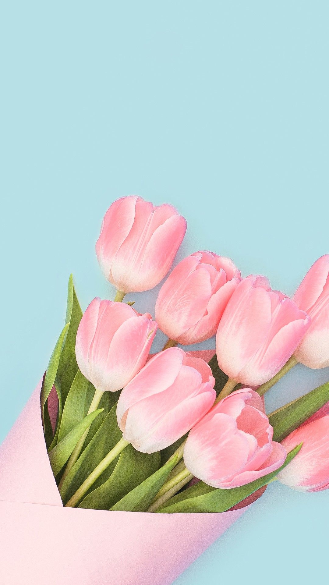 Baby Pink Tulips Wallpaper