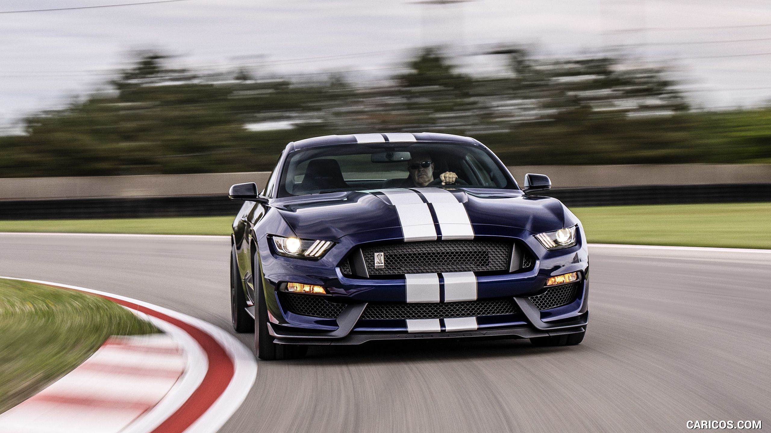 Shelby GT 350 Wallpapers - Wallpaper Cave