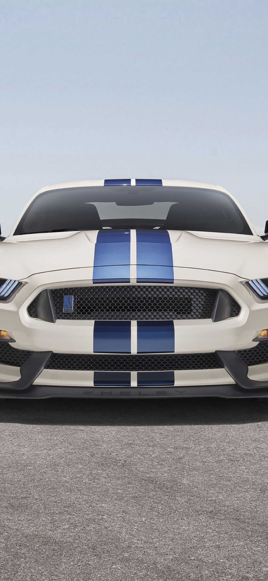 Ford Mustang Shelby GT350 iPhone XS, iPhone 10, iPhone X