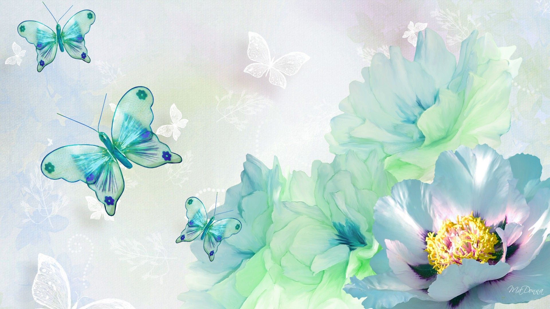 Butterflies and Flower HD Wallpaper. Background Imagex1080
