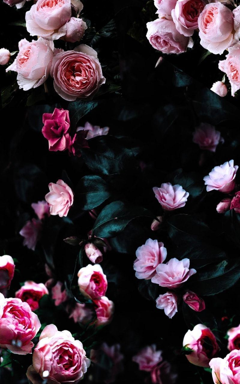 black flower wallpaper