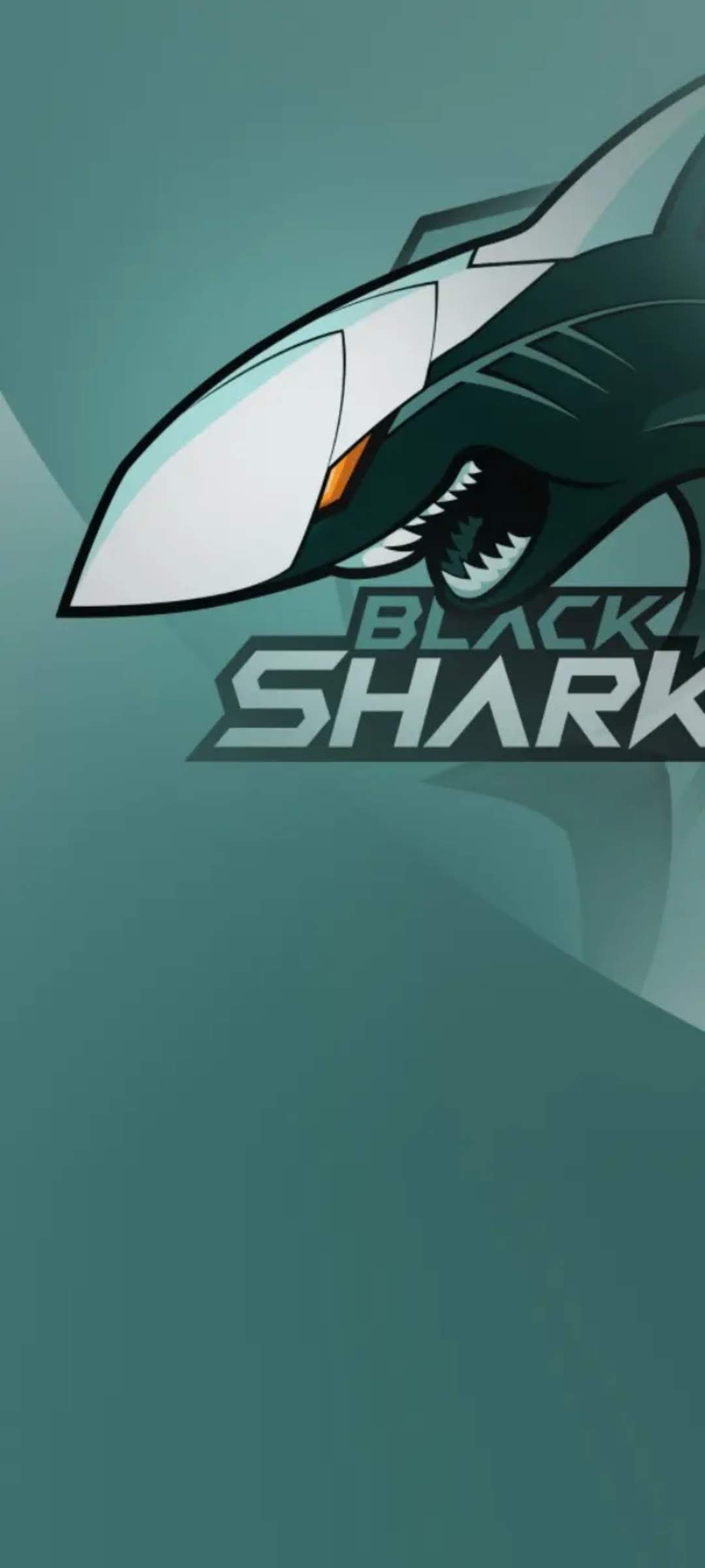 Xiaomi Black Shark 3 Stock Wallpaper [1080x2400]
