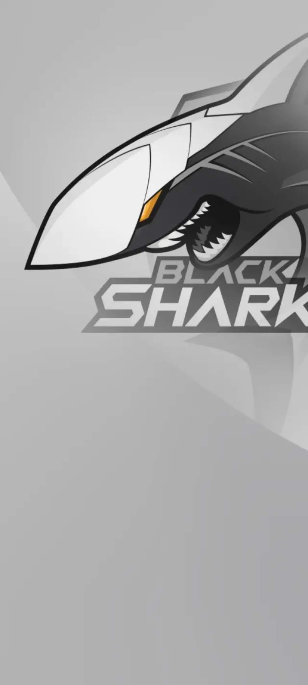 Xiaomi Black Shark 3 Stock Wallpaper [1080x2400]